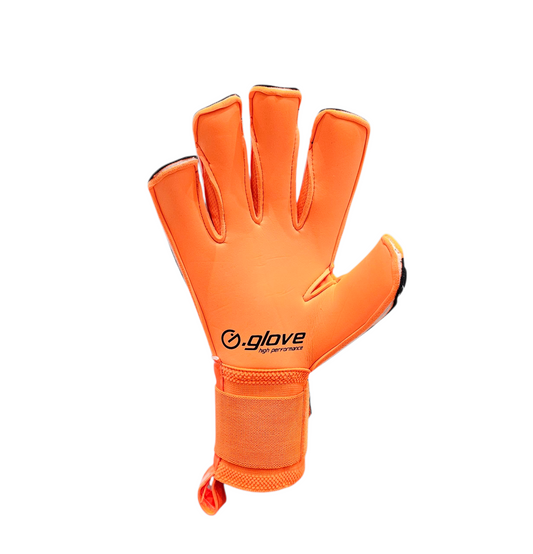 Modello Raptor Adulto