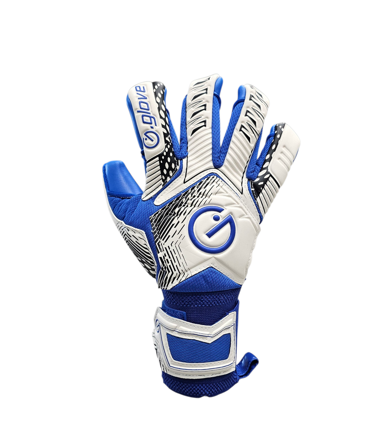 Modello Raptor Adulto