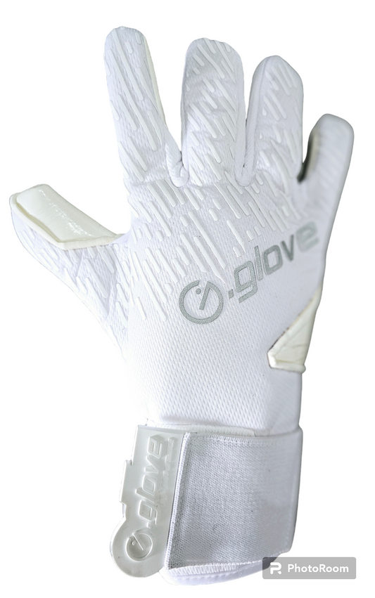 Modello Bfc Pro