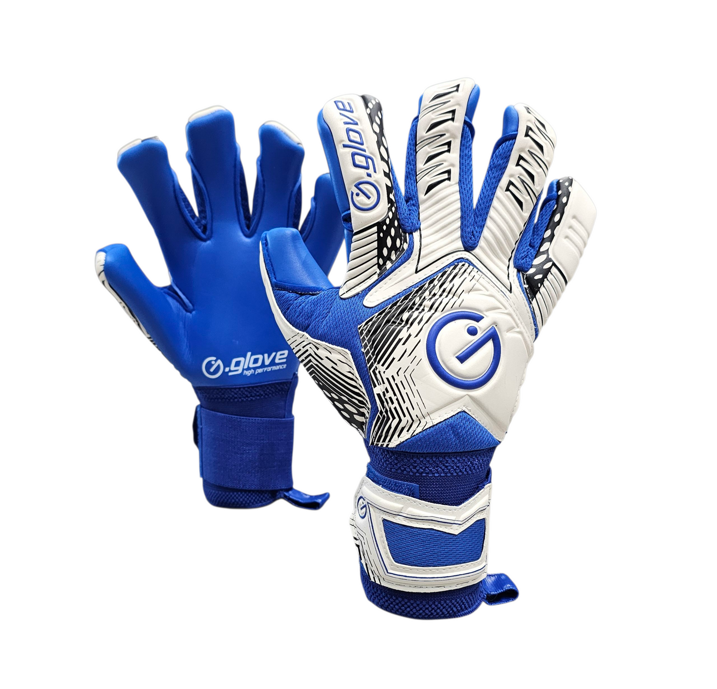 Modello Raptor Adulto