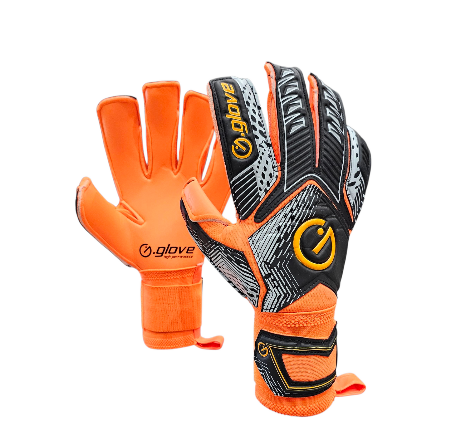 Modello Raptor Adulto