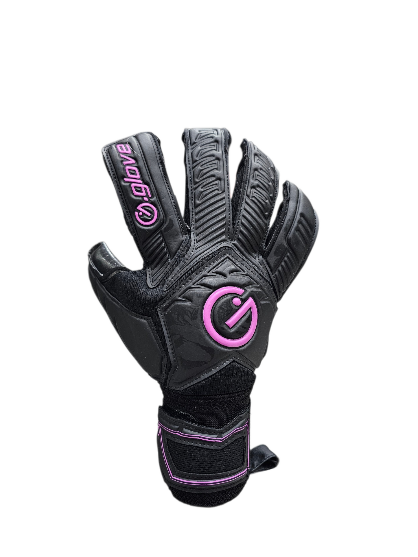 Modello Raptor Adulto