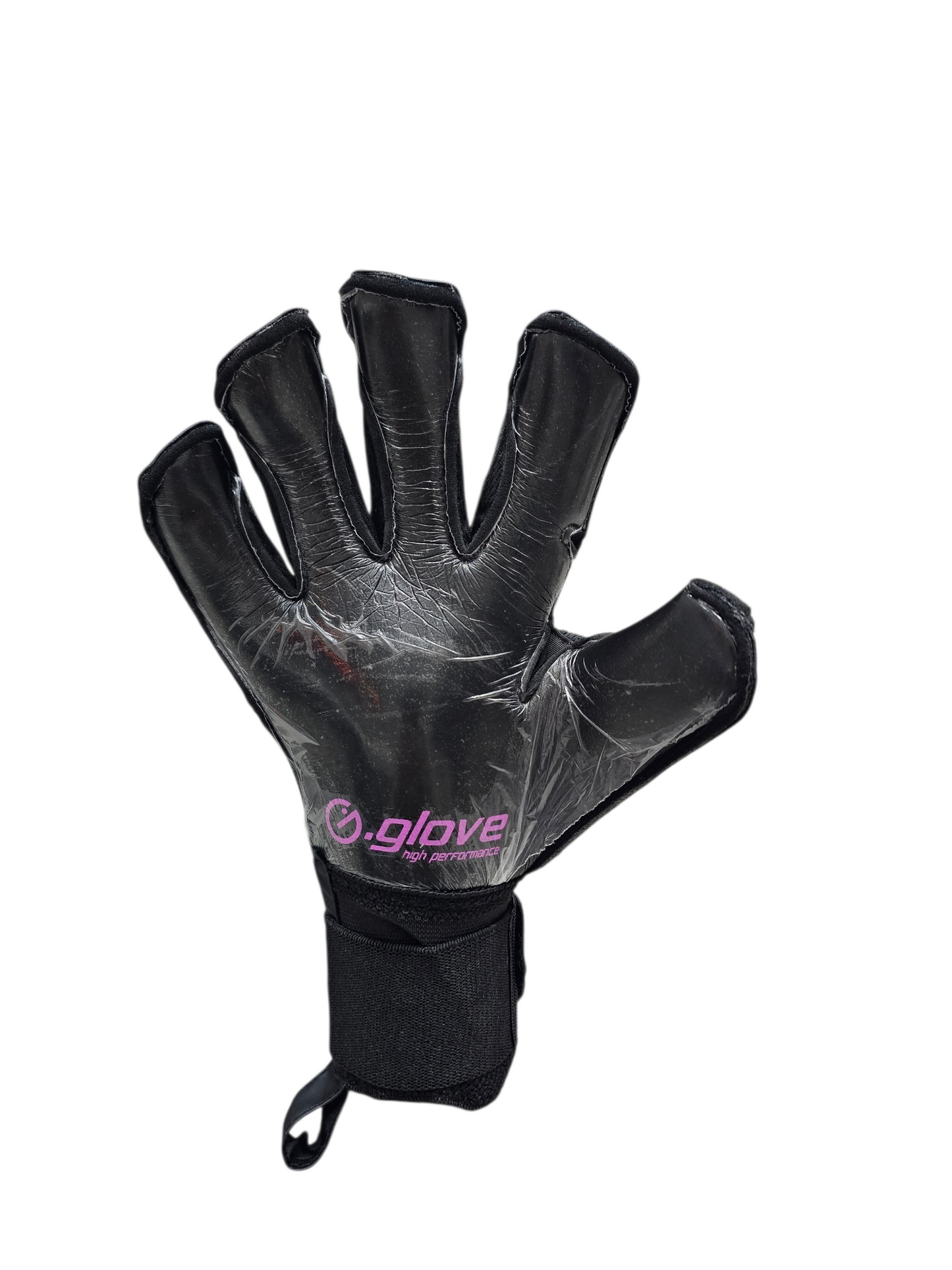 Modello Raptor Adulto