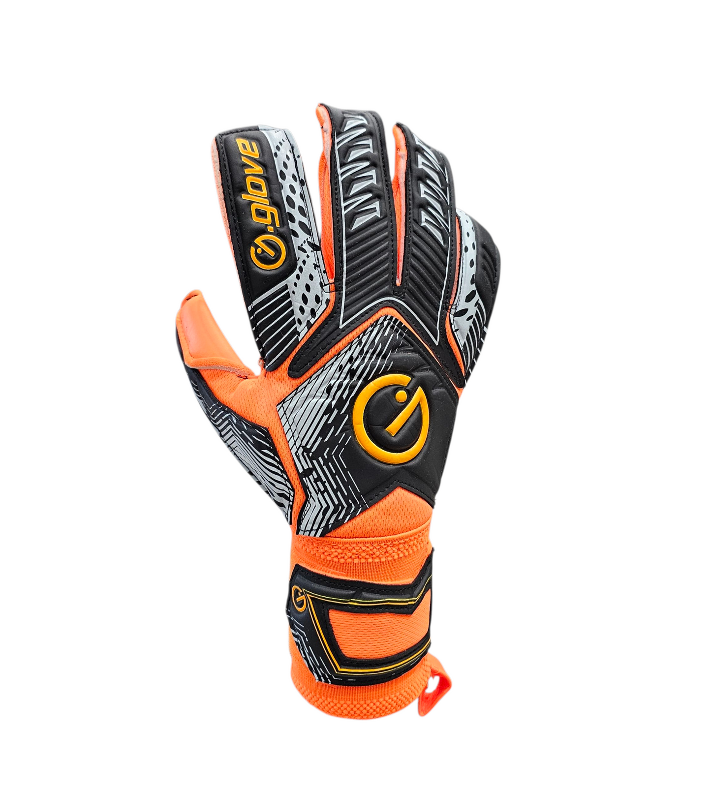 Modello Raptor Adulto